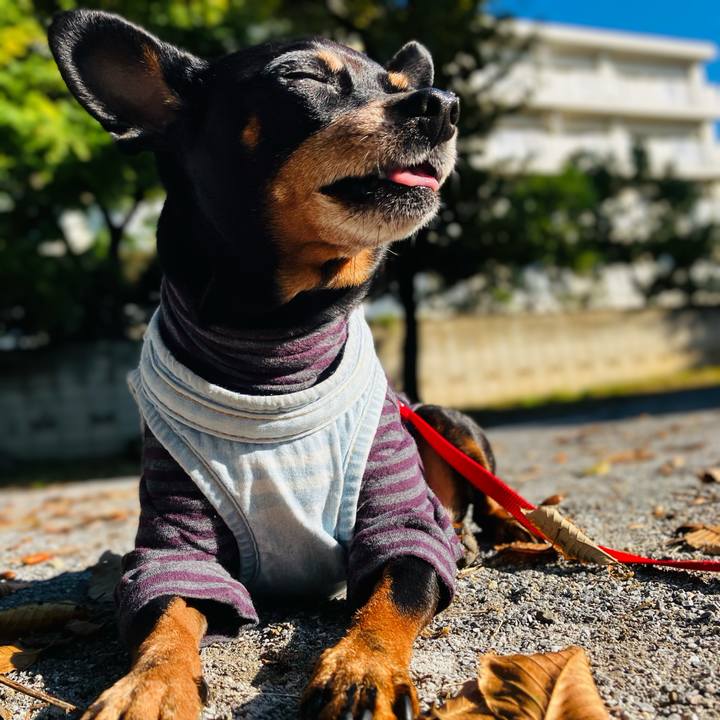 7a70182f 7373 4ca7 b8d9 9479765accb6 1762163966212