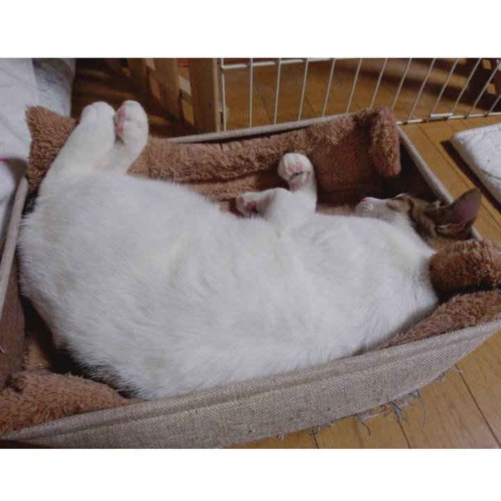 7a701cf6 d97a 4882 9d11 9e1fc5be943d 1676458674819