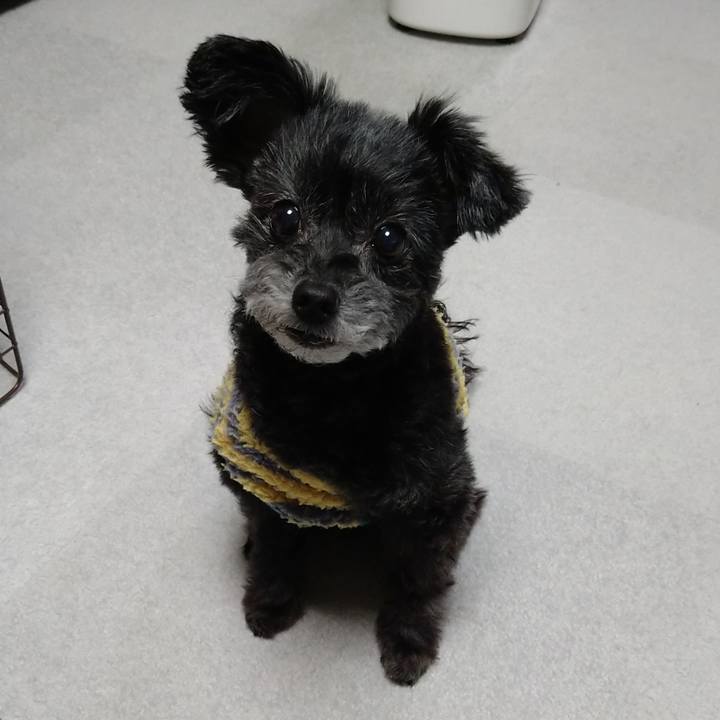 7a7029d0 5353 4288 9cbf d2074f3e9fbf 1675595334542