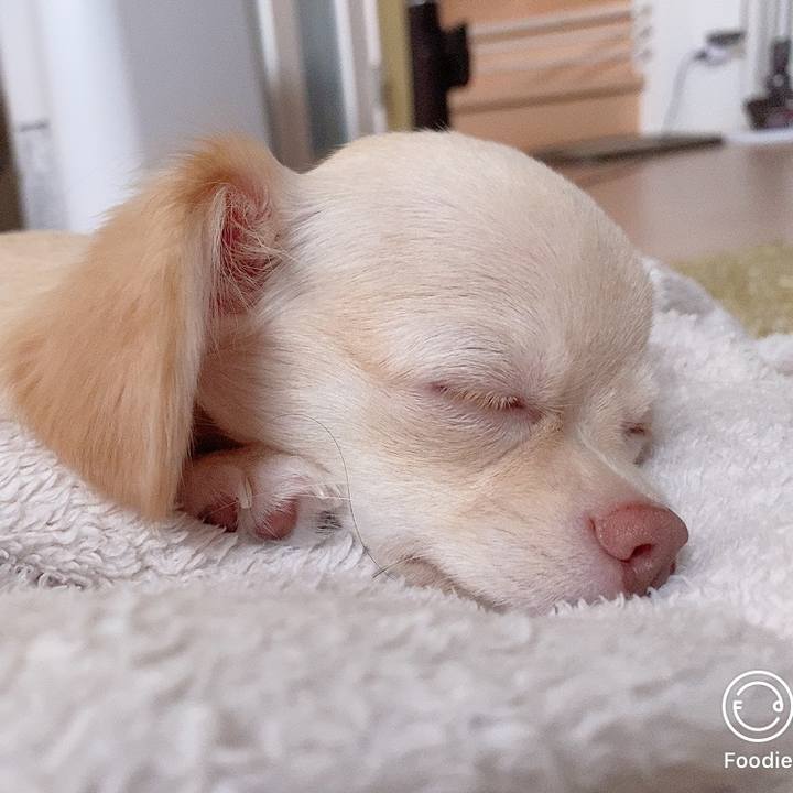 7a703ad0 e4a4 4df2 ac51 aa9ea6f765d9 1596920656669