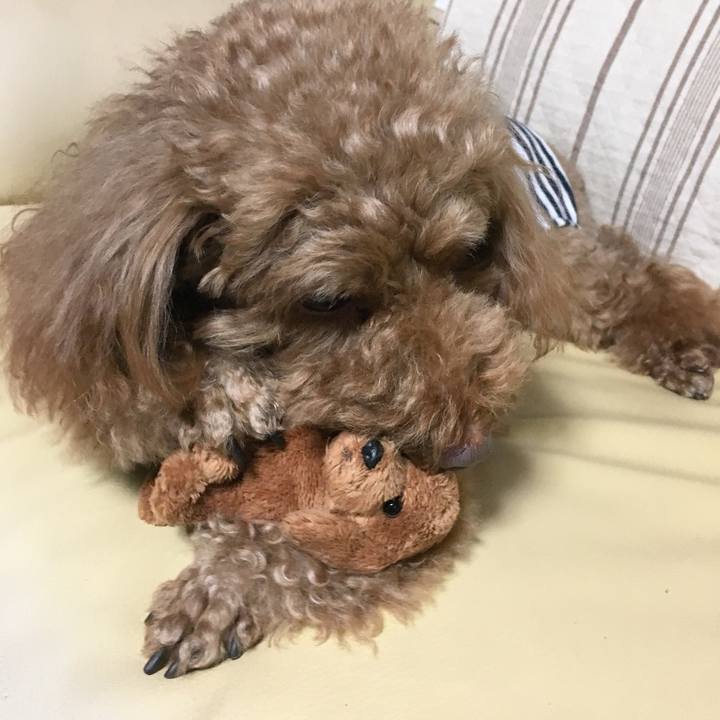 7a70747f e913 4a98 a73d a1e8b339d310 1538551140679