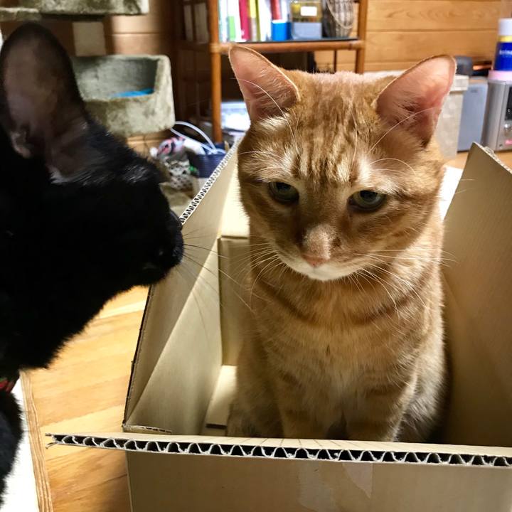 7a707d7a 22ca 4eda b318 8d6a8eca5ce7 1539682210974