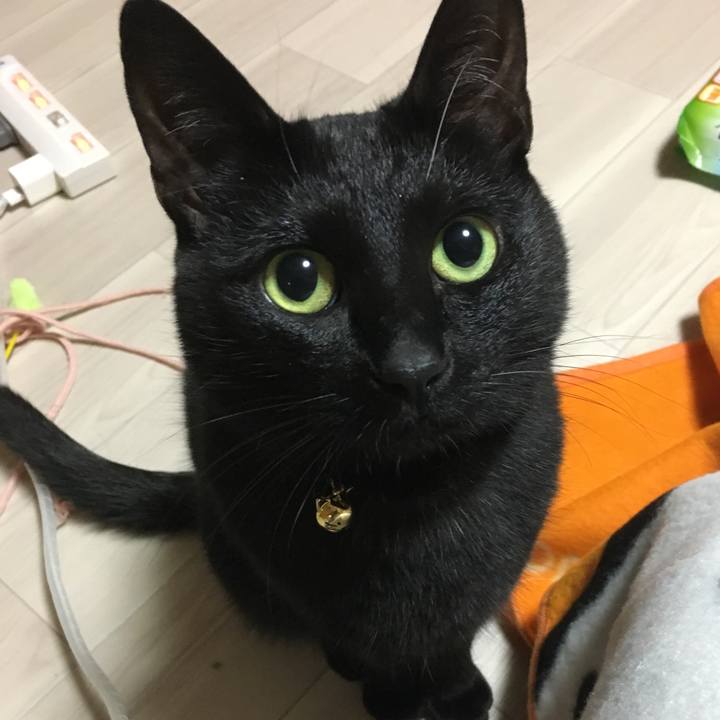 7a70c379 78e0 4e7b b89e 21af5cee28a5 1512868323742