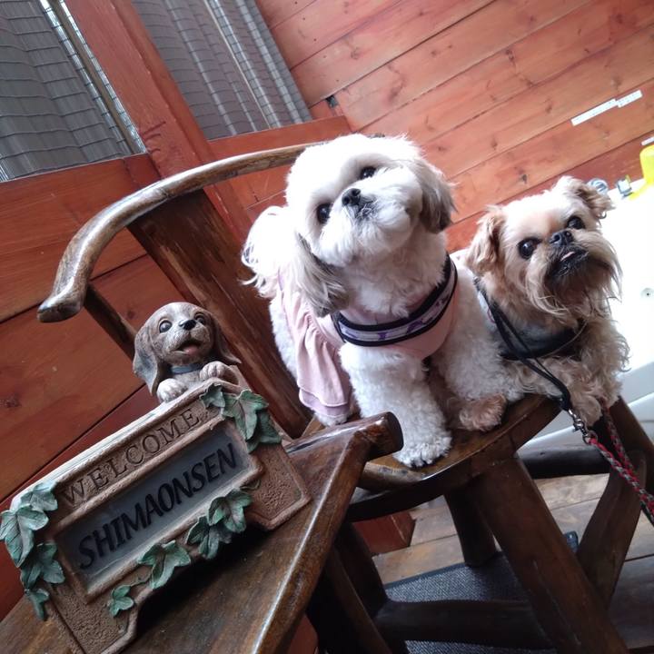 7a70e8ca 6c72 4672 b88c 45beacefe40a 1676940906953