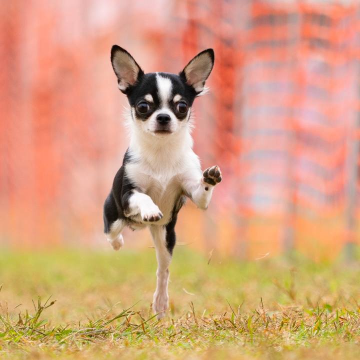 7a71319c 3a57 488d 80d1 01502a290126 1768901255590