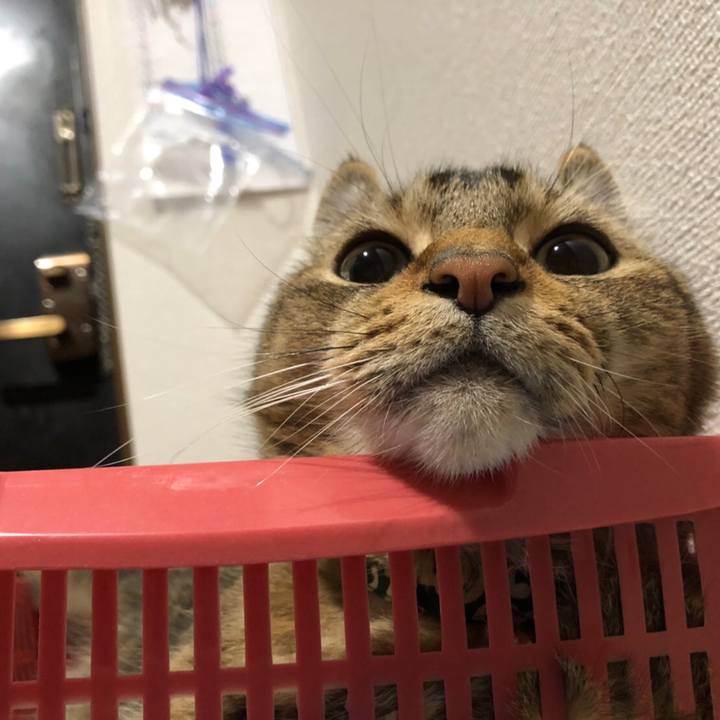 7a715b10 a68e 4985 87ad 07fb06a85999 1594127696807