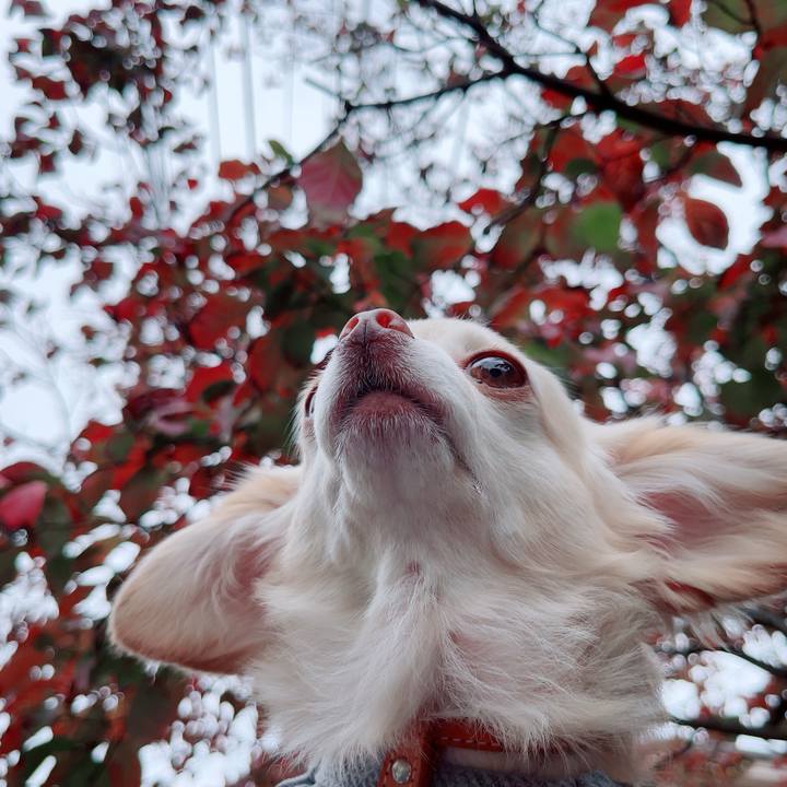 7a715fe7 fa60 4bc9 8293 7d2fa8aea88f 1760959478020