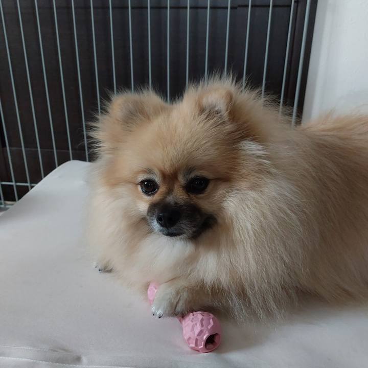 7a7181e8 0792 4f56 9d2e 7c82d889dc0c 1664596519900