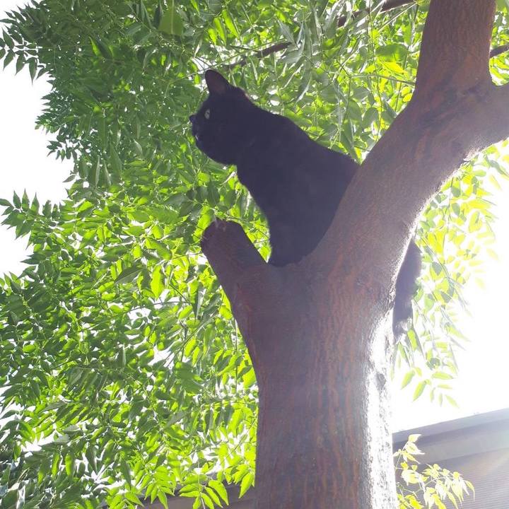 7a7194e6 e584 4522 a902 58516d69ee39 1668383722809