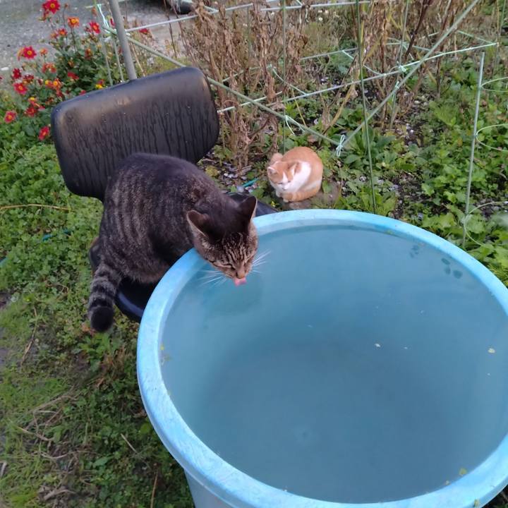 7a71abae 6175 4200 8cad e25ab159b83c 1729289327184