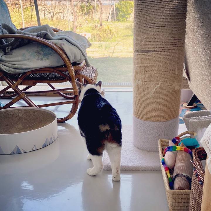 7a71bded 2bce 44f6 8488 c735447afb83 1584692219133