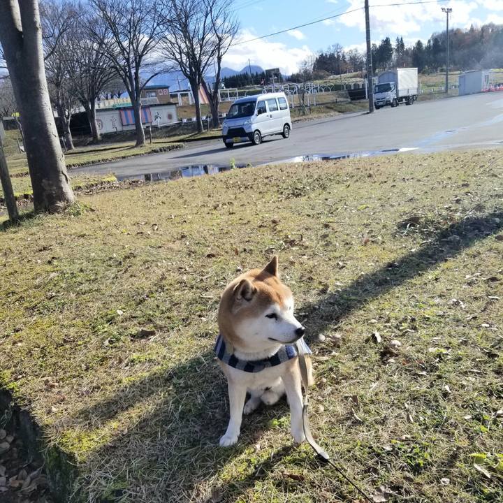 7a71f0bf c8fd 4b6f a3cd f9b2128d93ee 1638333908526