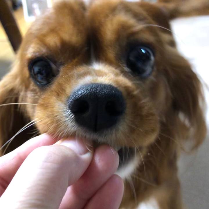 7a72082b 0c27 446f 9645 19c898a095df 1570833807498