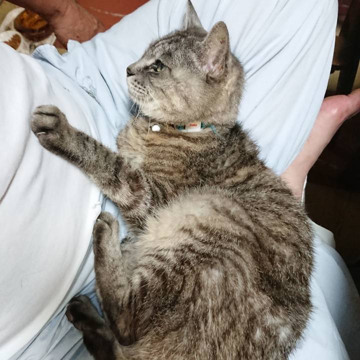 7a721a3d 4293 411f a900 e7ec33e2e591 1570181716848