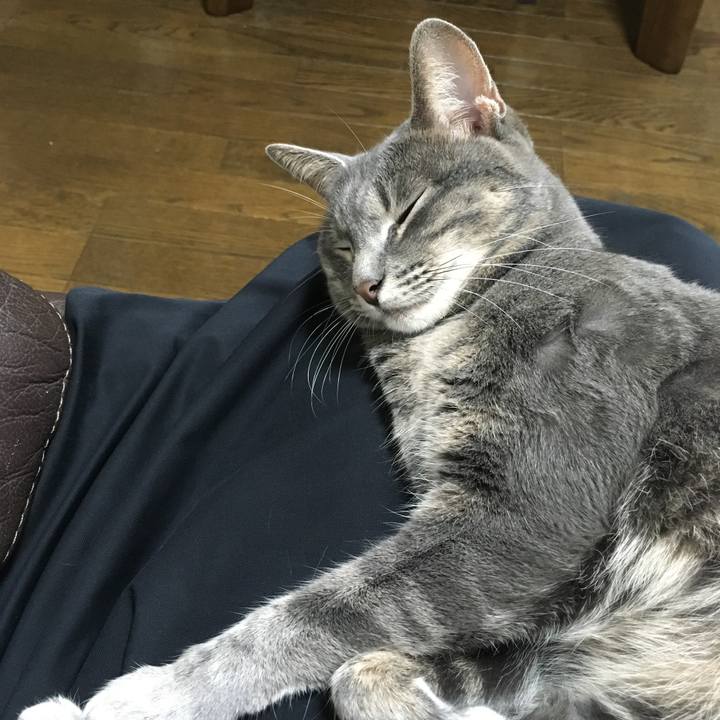 7a724193 a177 45c5 a3eb 38a023052826 1538785022675