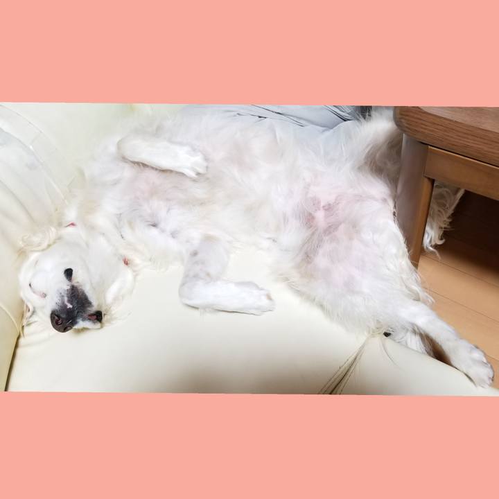 7a727490 27b3 44db a2a7 e9aa9b53f5f9 1587197363770