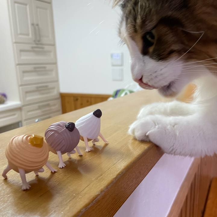 7a72859d a604 4403 8c26 26c87266c7a6 1729370236414