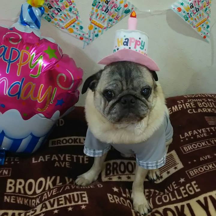 7a72a5a0 08db 4c13 97a0 c4f6818c0b46 1527090348824