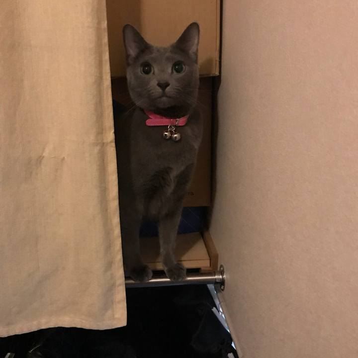 7a72a9da 7b78 4a8c b36a 81c47ae7e250 1519792004213