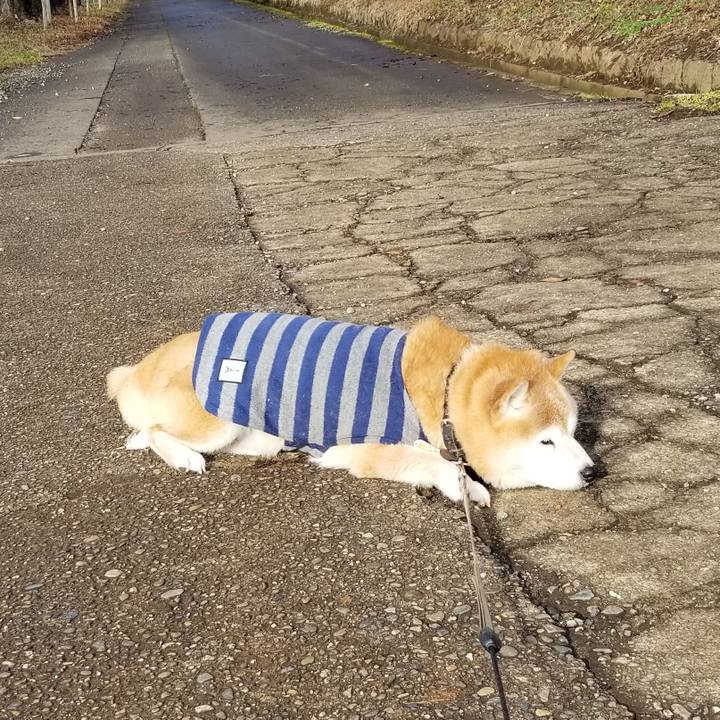 7a72b9a1 834a 4fda 9531 24d5d39c2ed3 1701489827801