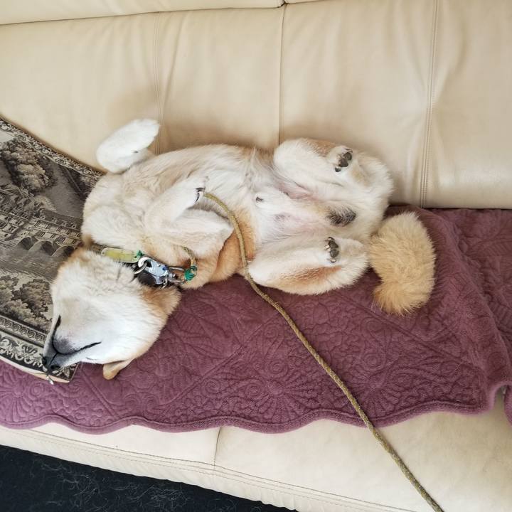 7a72d7f2 9724 4818 949a bc1688d784fb 1696210917013