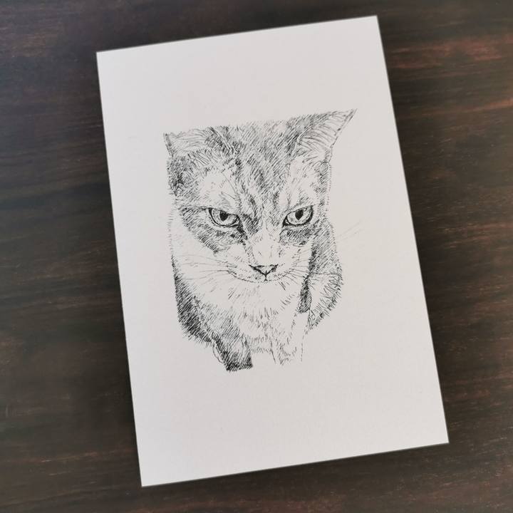 7a730739 4dc0 49b8 aa36 7332248bcf5f 1659710023481