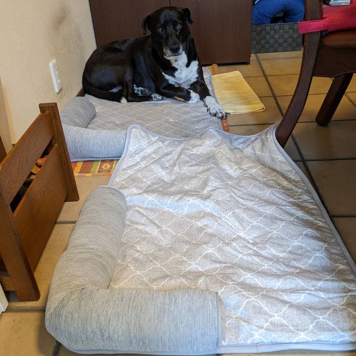 7a7331d9 764c 46ea b2c6 ffaf36f37f53 1689651760949