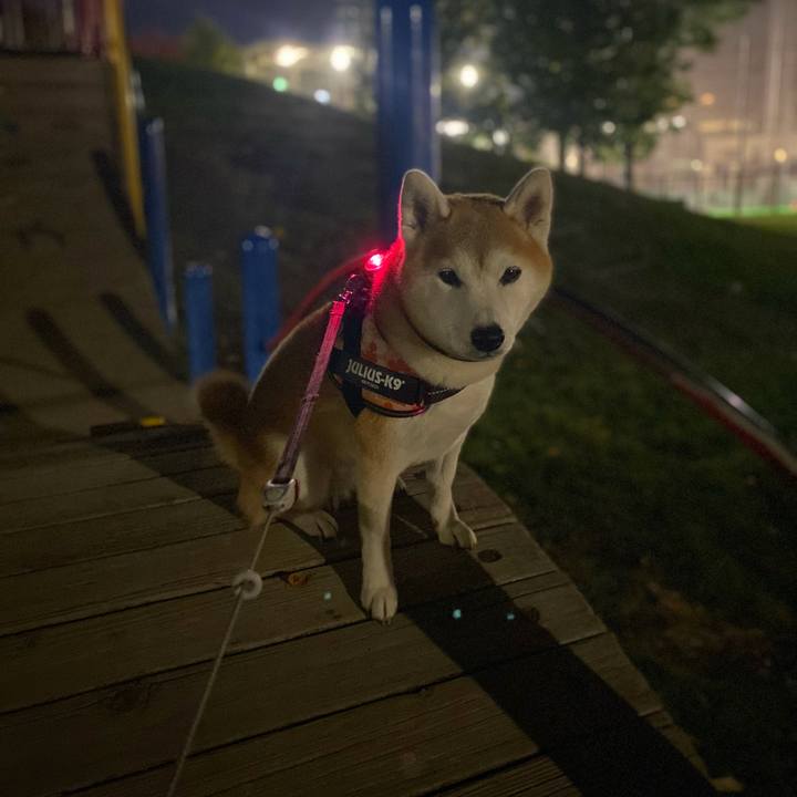 7a734824 0839 4ad7 a523 ba5305c45d85 1698053778555