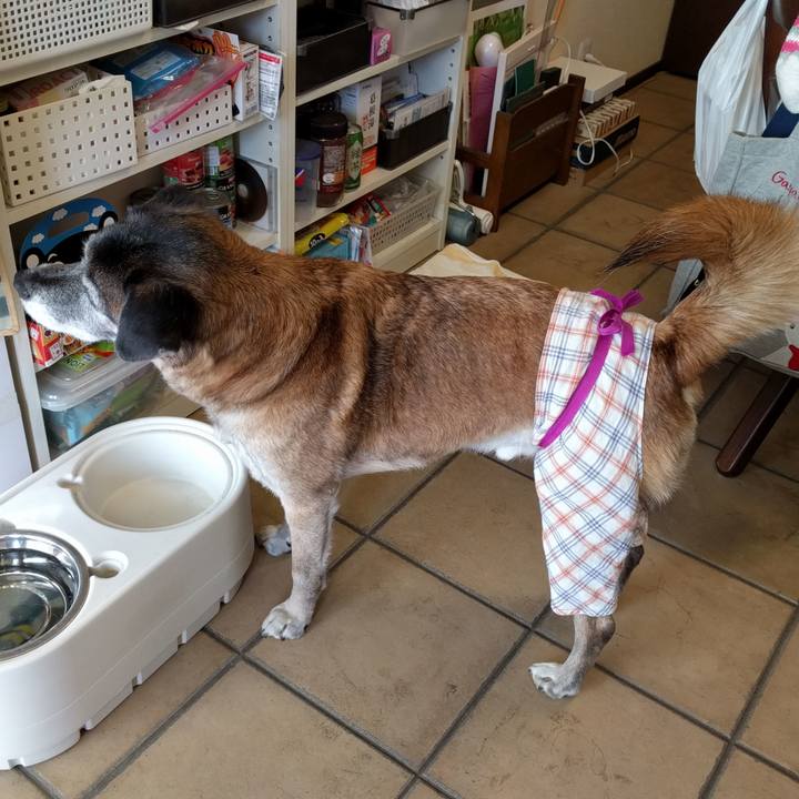 7a73559d c685 4377 9bb7 0a27eb04e444 1515807534021