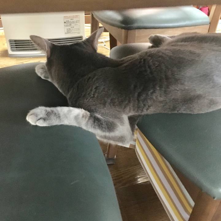 7a7360d2 587e 497c 870c 8b15365e521a 1550484887526