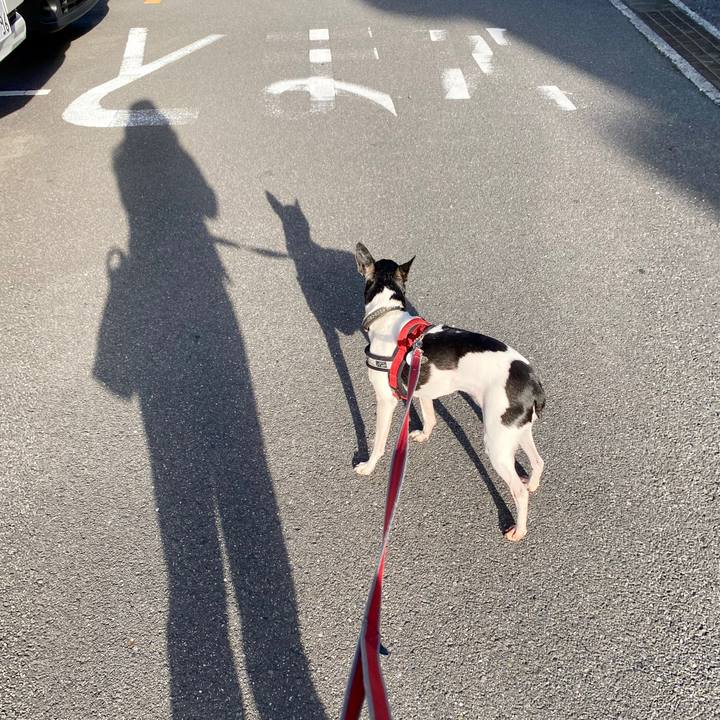 7a7371b9 8003 4781 8cee 6091024f5668 1589428412030