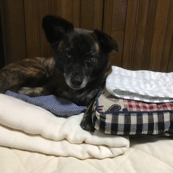 7a73b9a3 e833 46ab 82eb aec06a5681b1 1532784520506