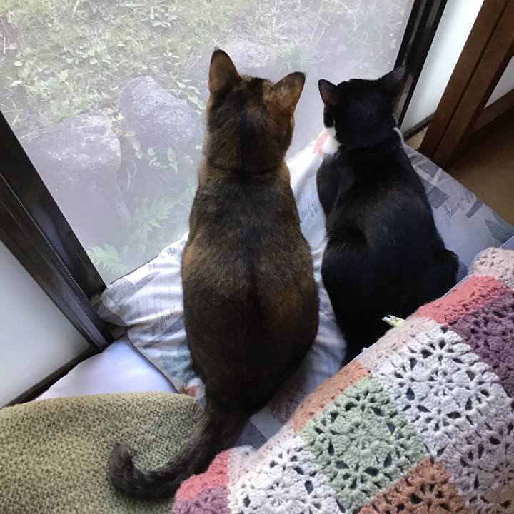 7a73c514 20bc 46c6 8963 1745c71519c7 1635492856704