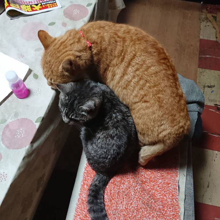 7a73d9cf 122d 4d1e 9ecd b60e9a5b78bc 1577749644472