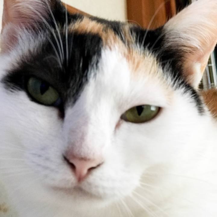 7a73e157 b77a 4f1c a2f9 acb202d25ce9 1531576015445