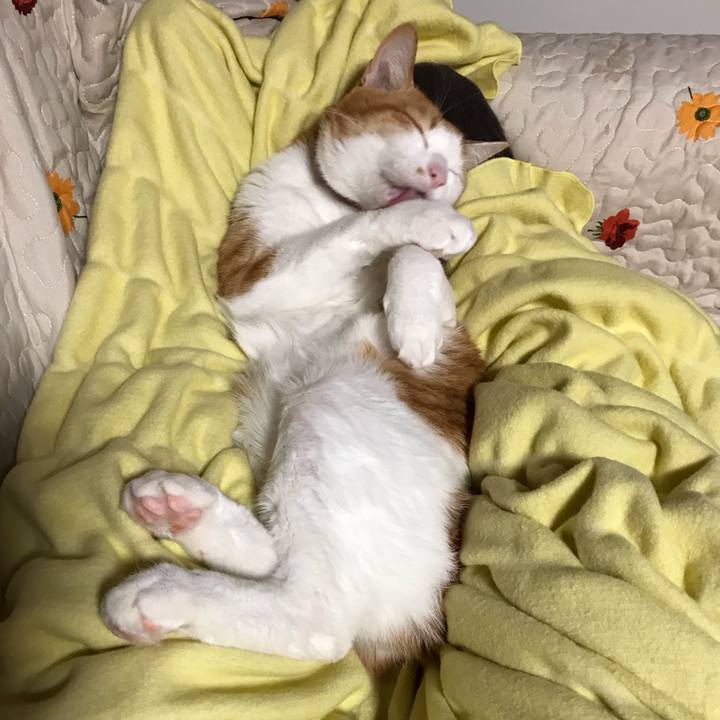 7a746bff 5d8c 4d6e b8dd 271fd5090972 1550396985114