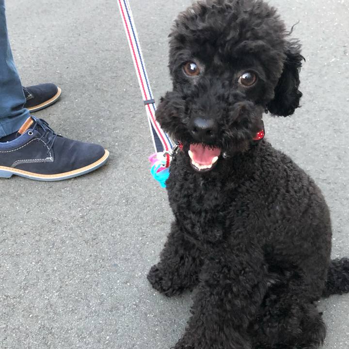 7a7473d5 d738 4aa4 9dab 48a6a760d797 1558779994423