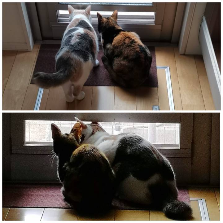 7a747b83 dc8d 4aba bf7f 064a9b329334 1644813072045