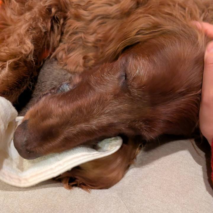 7a7484e1 7ad1 4361 9d12 702926d34af5 1765449341507