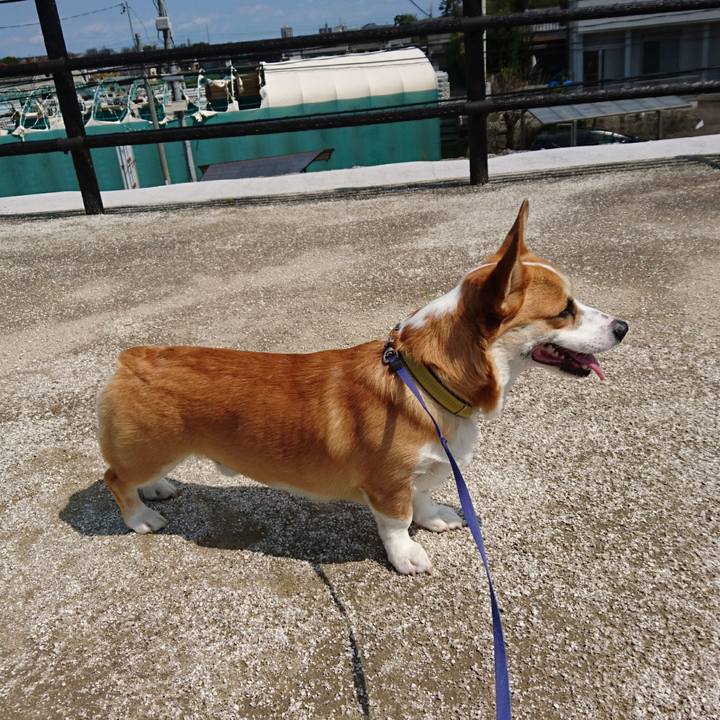 7a7495fb a1b9 4c90 8531 9e9efc402186 1585808655811