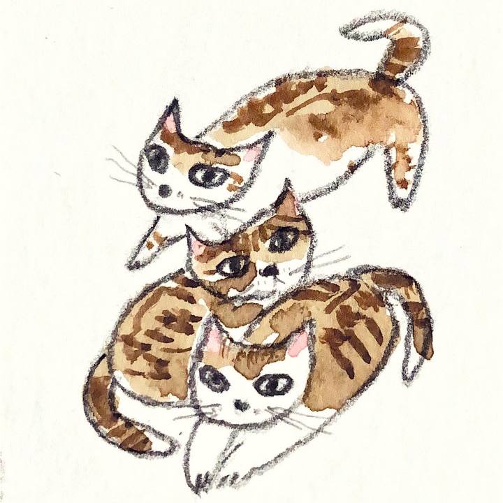 7a74ed03 c265 4299 a30b a74dd91810e7 1671194528107