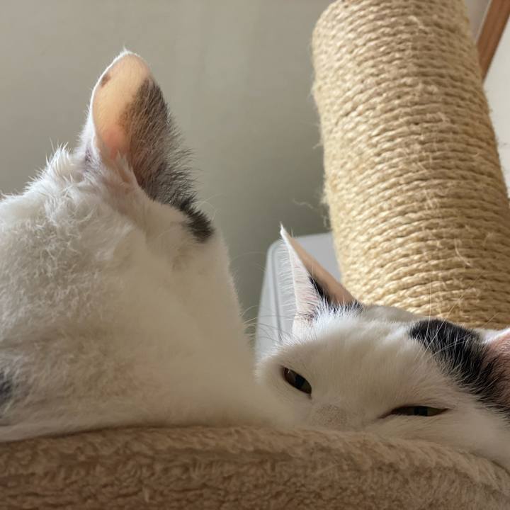 7a750d23 3301 4acb 95c1 2c9960ee8556 1609416547838