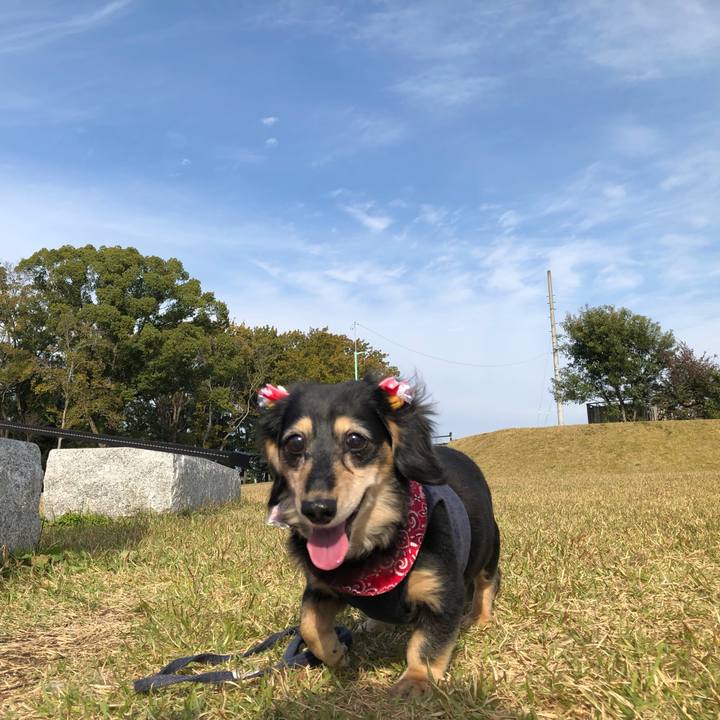 7a751fc6 185d 4fb1 bb7d bba02d5b1fd8 1637045372514