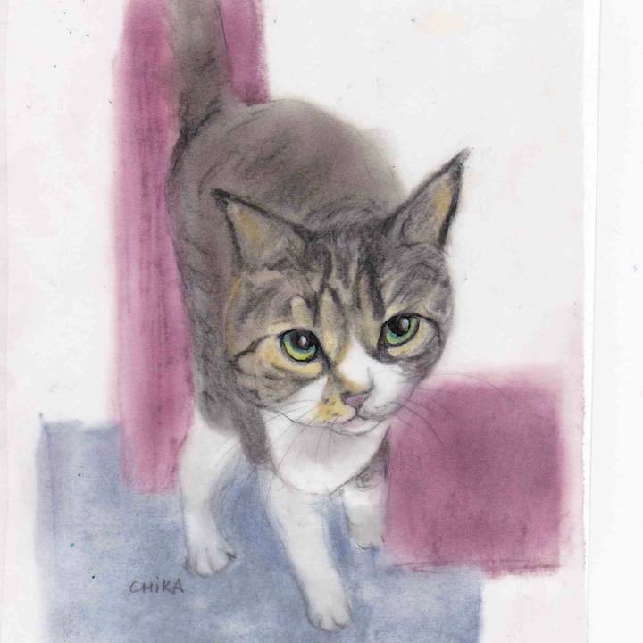 7a752968 e00d 4356 9a40 937e8941f35e 1583135738855