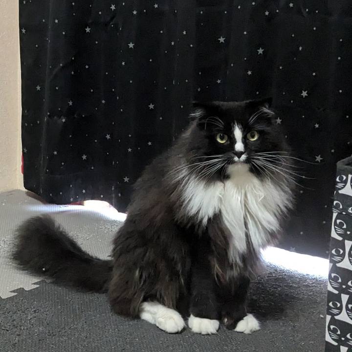 7a75316c b914 4966 9408 d82ddd576b24 1722143740997