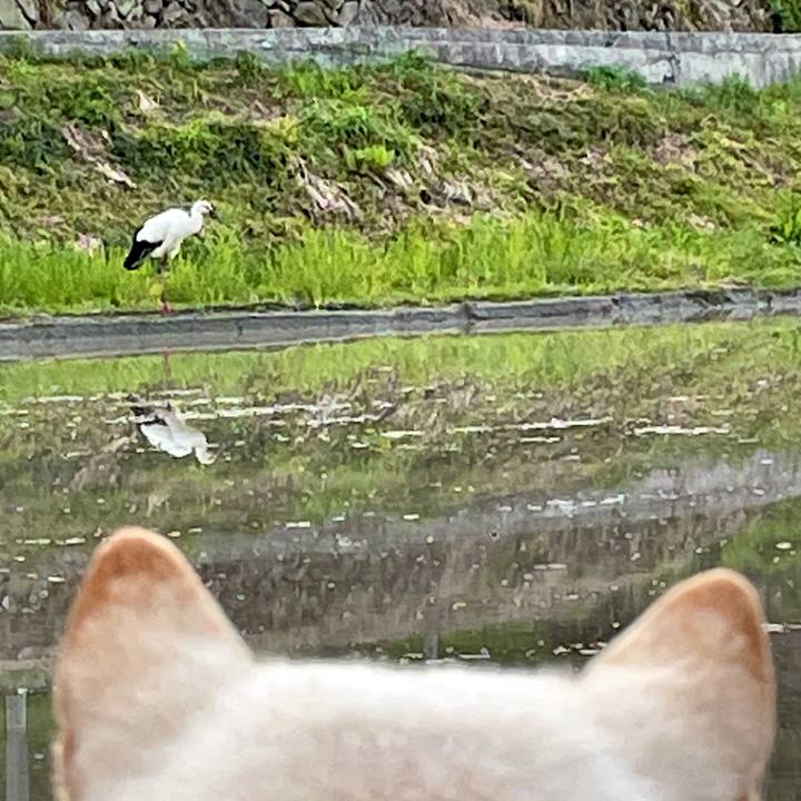 7a754fbe 913d 4be6 ab0f 536d13952d59 1620038177233