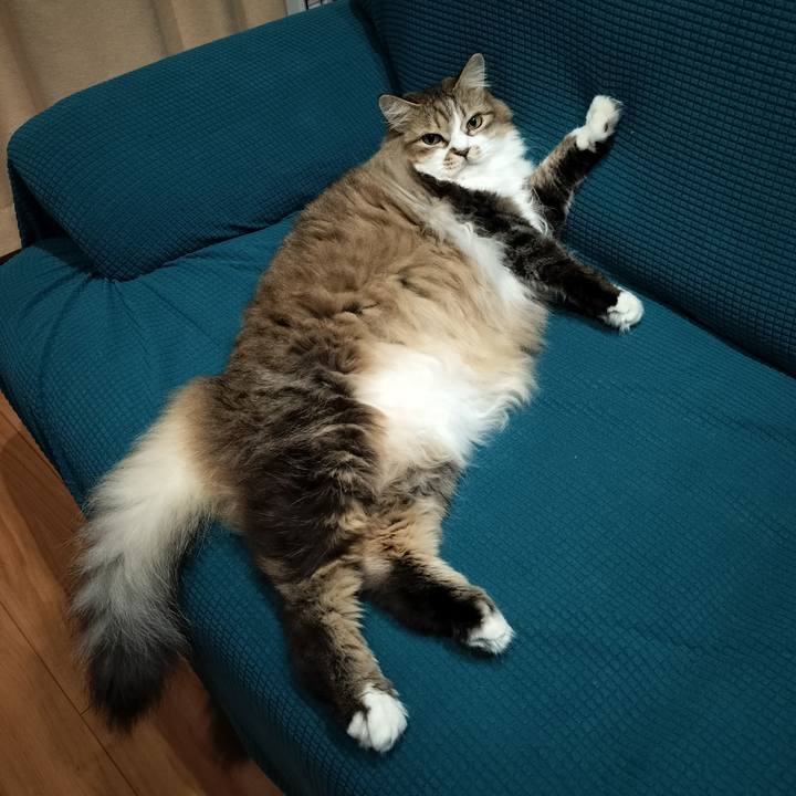 7a75b0cf 5123 4ac9 b87c 4642d4687594 1761566011917