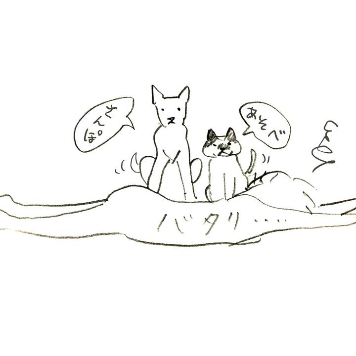 7a75b6de e995 49e7 8a4a db1988e3d8c0 1511967441446