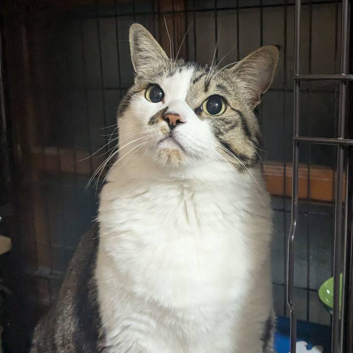 7a75c849 22e9 4288 b2f4 7284b46ae9f5 1771113175420