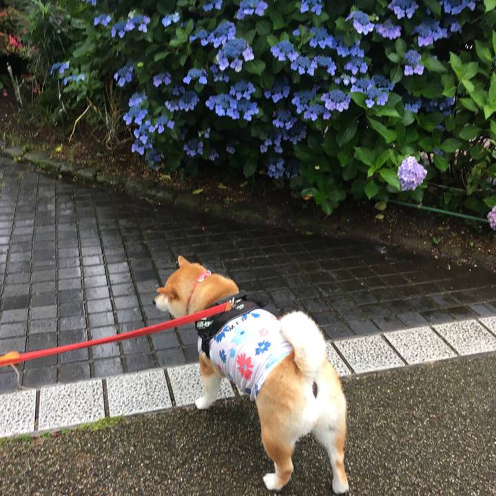 7a75cfd5 c96e 4042 84d7 fdf98056f154 1592009785955